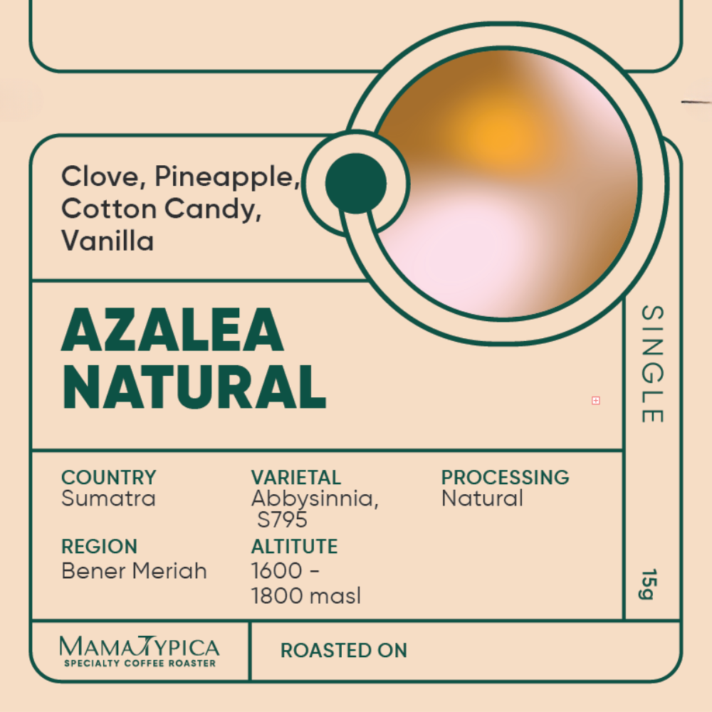 Indonesia, Azelea Natural Single Serve Filter Bean (15g) - Mama Typica Specialty Coffee Roaster