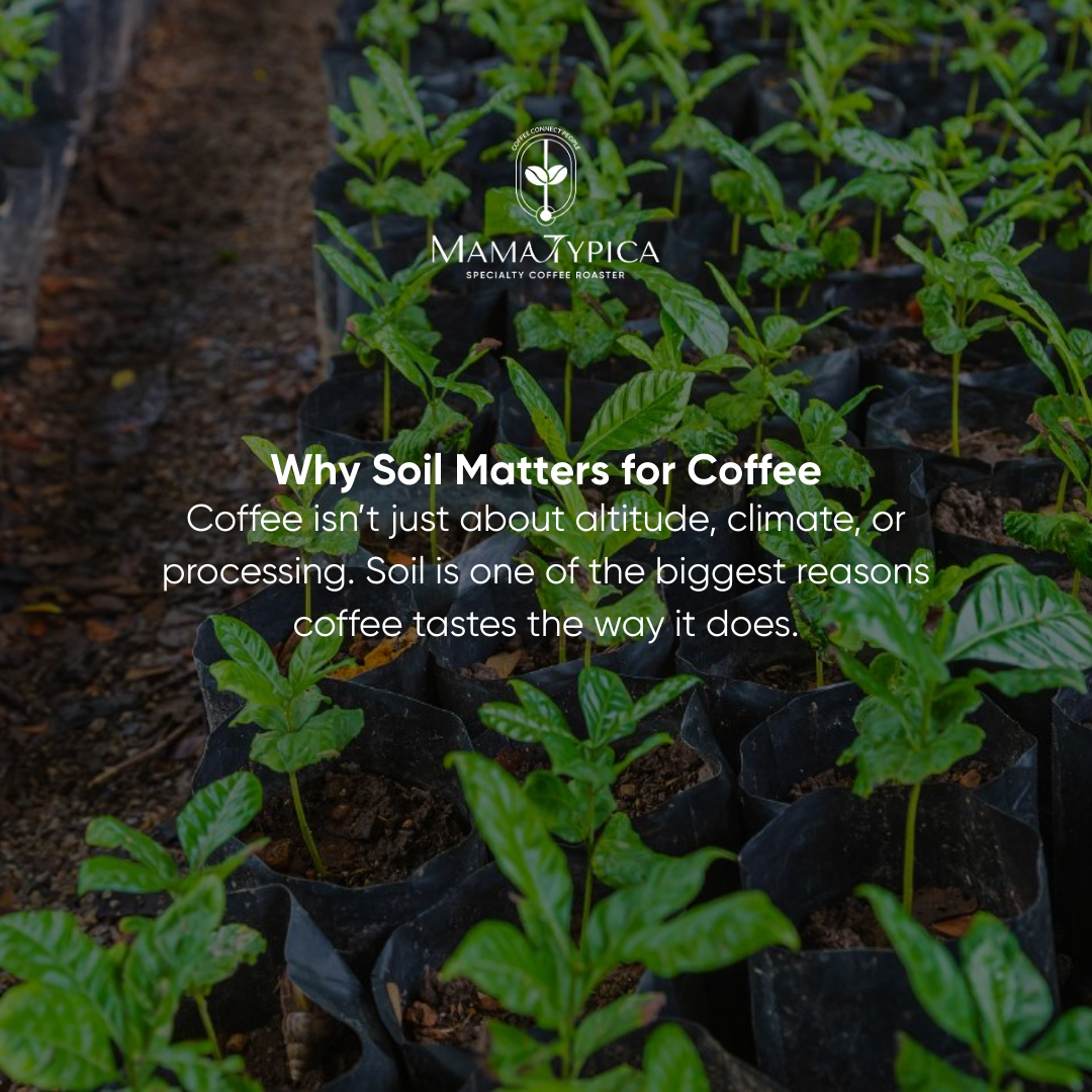 Soil Matters More Than You Think