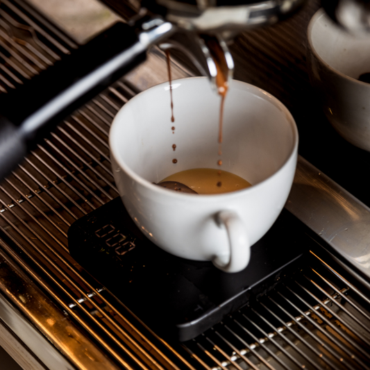 What is Espresso? A Complete Guide by Mama Typica Specialty Coffee