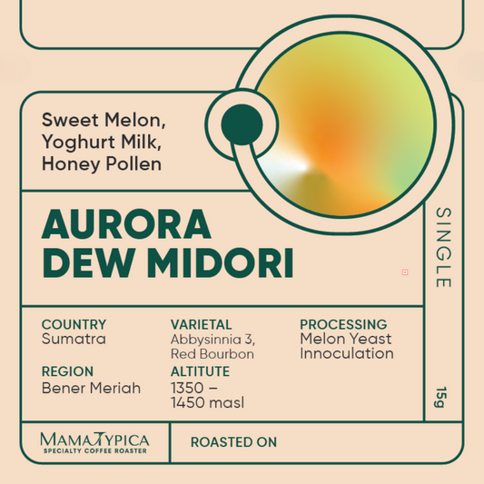 Indonesia, Aurora Dew "Midori" Single Serve Filter Bean (15g) - Mama Typica Specialty Coffee Roaster
