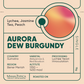 Indonesia, Aurora Dew "Burgundy" Single Serve Filter Bean (15g) - Mama Typica Specialty Coffee Roaster