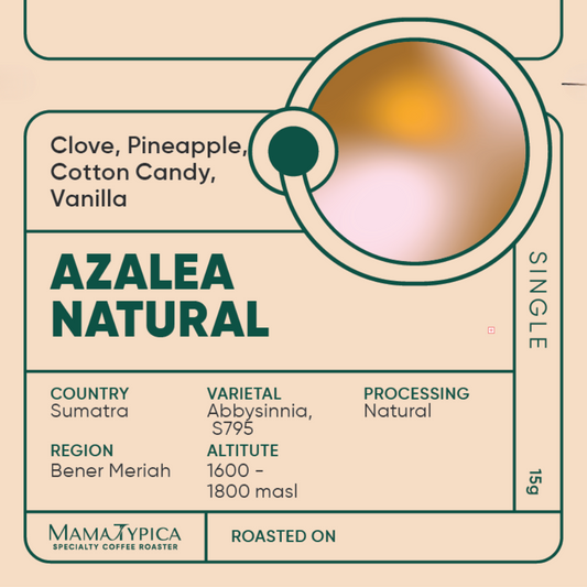 Indonesia, Azelea Natural Single Serve Filter Bean (15g) - Mama Typica Specialty Coffee Roaster