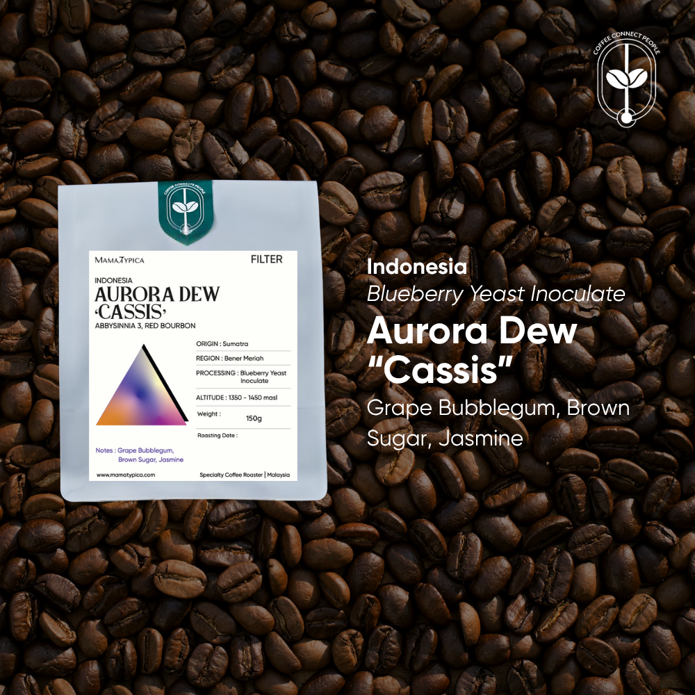 Mama Typica Indonesia, Aurora Dew "Cassis" (150g) – specialty coffee beans Malaysia