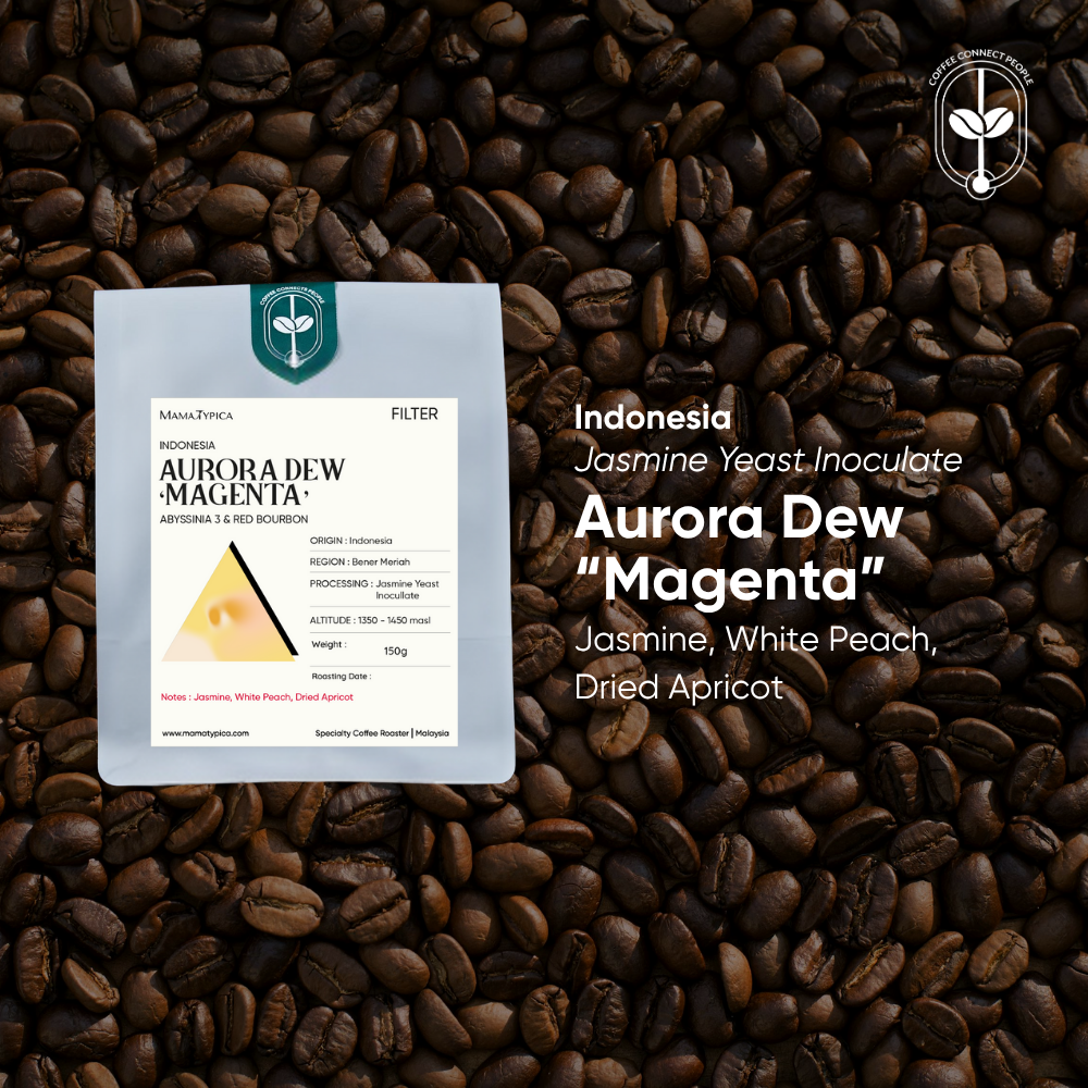 Mama Typica Indonesia, Aurora Dew "Magenta" (150g) – specialty coffee beans Malaysia