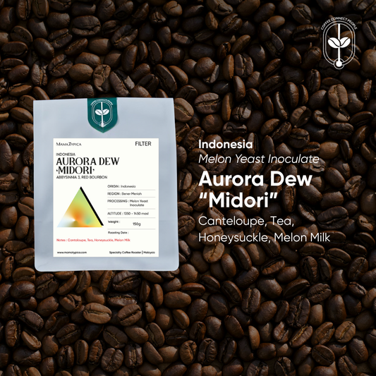 Indonesia, Aurora Dew "Midori" (150g) - Mama Typica Specialty Coffee Roaster