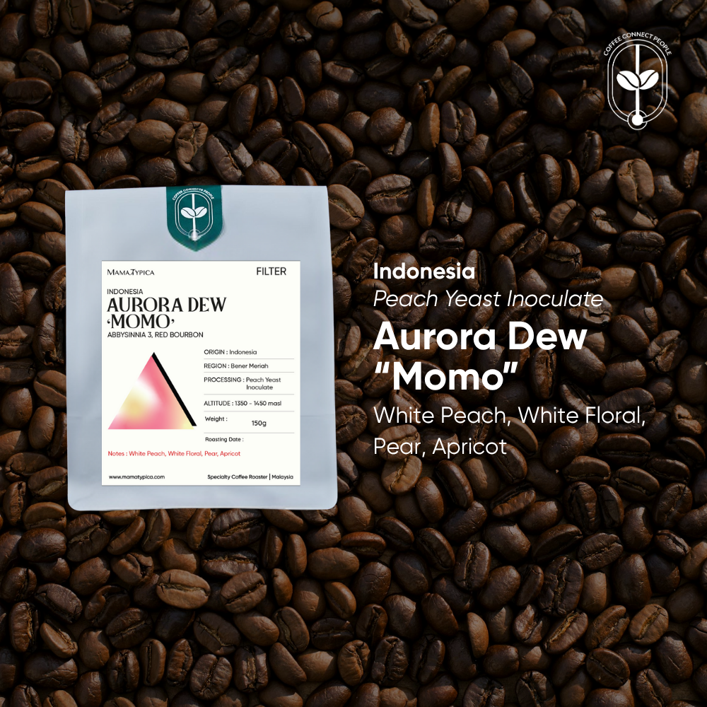 Mama Typica Indonesia, Aurora Dew "Momo" (150g) – specialty coffee beans Malaysia
