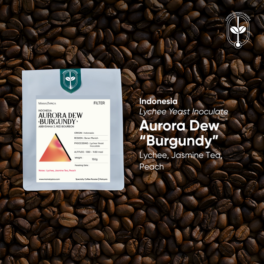 Indonesia, Aurora Dew "Burgundy" (150g) - Mama Typica Specialty Coffee Roaster