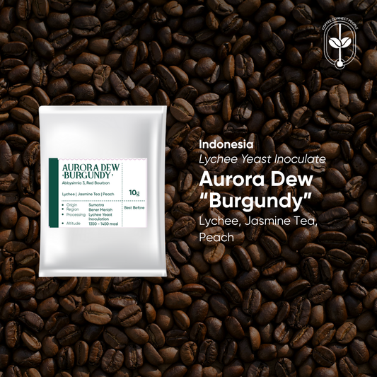 Indonesia, Aurora Dew "Burgundy" Drip Bag (1 pcs)