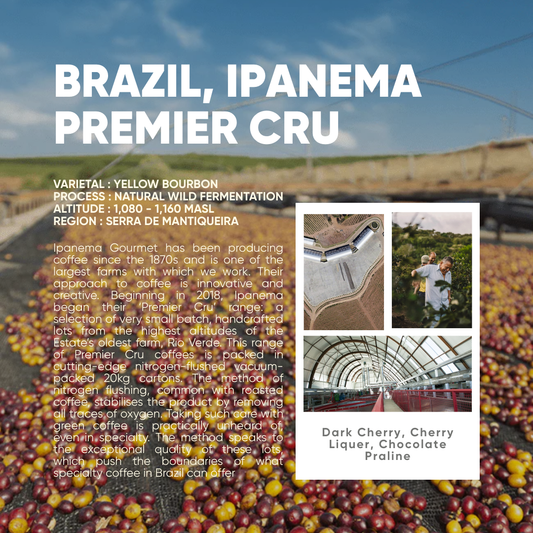 Filter - Brazil Ipanema