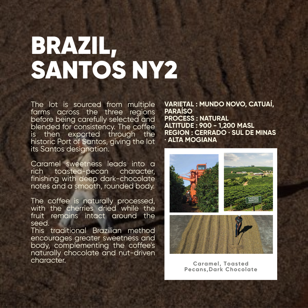 Brazil, Santos NY2 | Natural Process | Single Origin Espresso