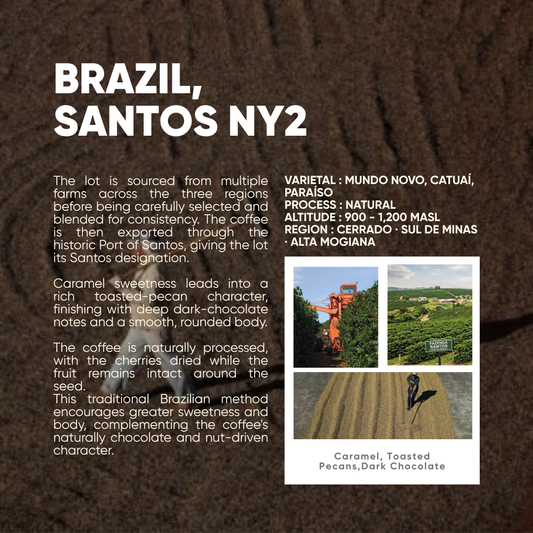 Brazil, Santos NY2 | Natural Process | Single Origin Espresso
