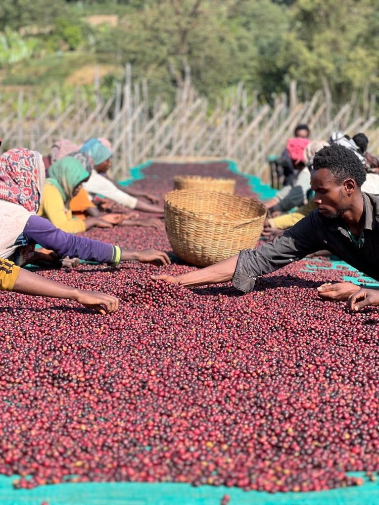 ETHIOPIA BUKU HURUFA (150G)