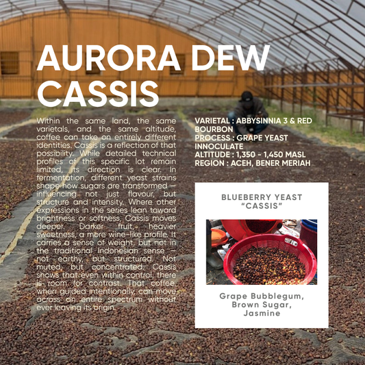 Indonesia, Aurora Dew "Cassis" (150g)