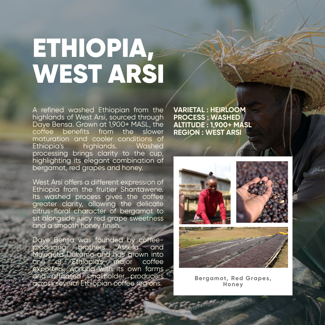 Ethiopia, West Arsi | Washed Process | Single Origin Espresso