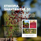 Ethiopia, Shantawene G1 | Natural Sundried Process | Single Origin Espresso