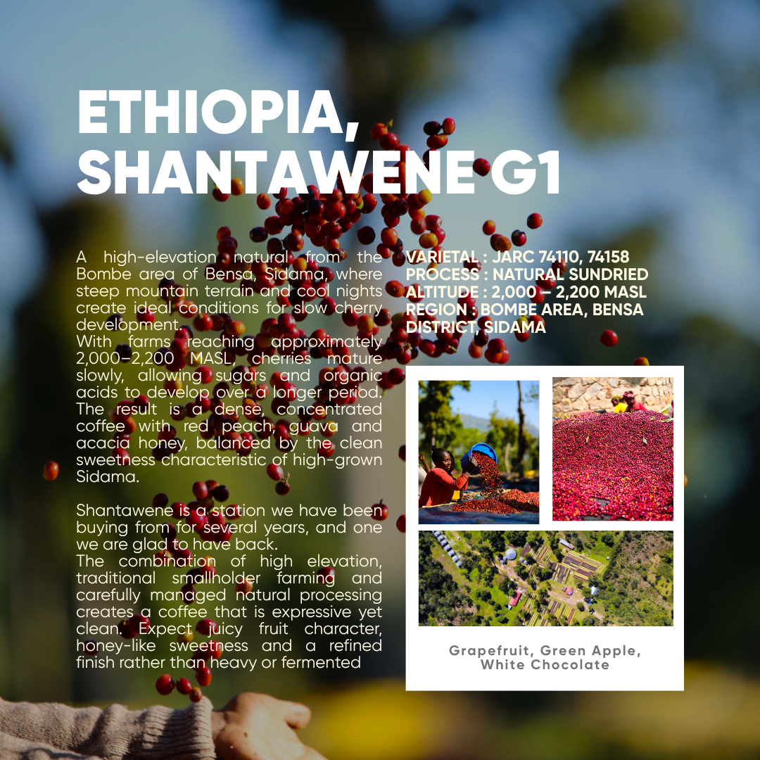 Ethiopia, Shantawene G1 | Natural Sundried Process | Single Origin Espresso