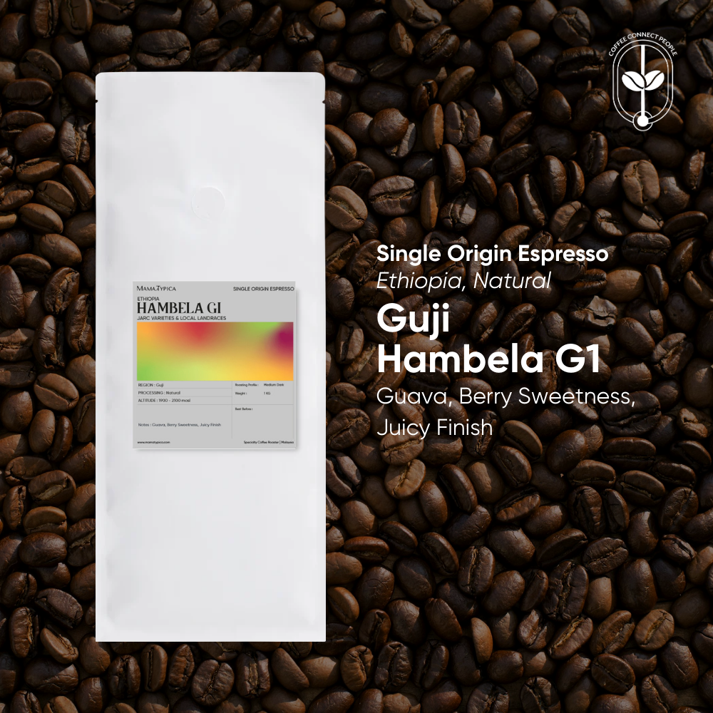 Mama Typica Ethiopia, Guji Hambela G1 Natural – specialty coffee beans Malaysia