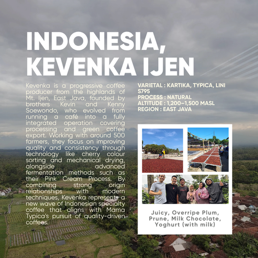 Indonesia, Kevenka Ijen, Natural - Mama Typica Specialty Coffee Roaster