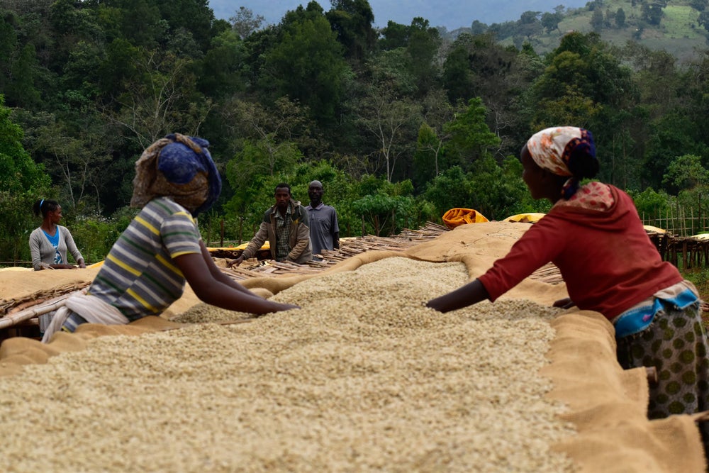 ETHIOPIA BUKU HURUFA (150G)