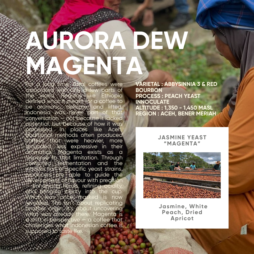 Indonesia, Aurora Dew "Magenta" (150g) - Mama Typica Specialty Coffee Roaster