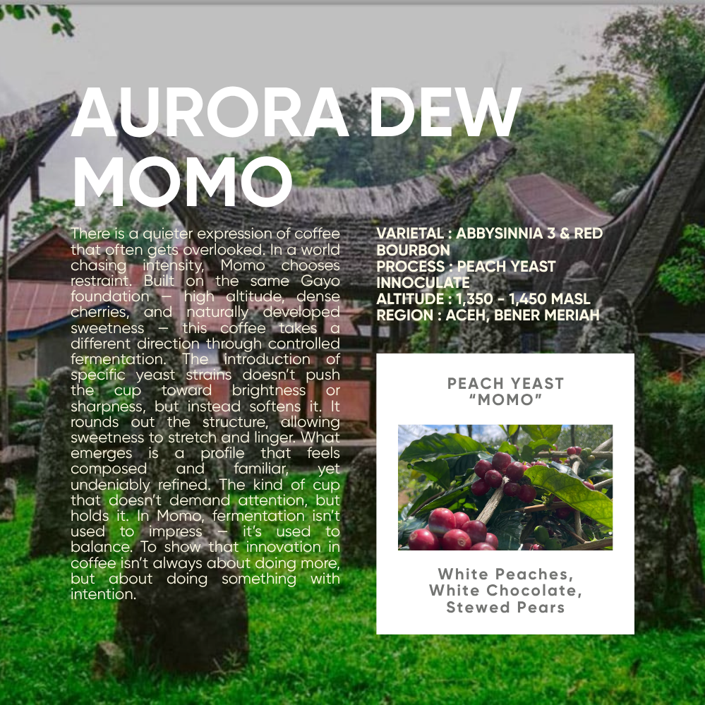 Indonesia, Aurora Dew "Momo" (150g) - Mama Typica Specialty Coffee Roaster