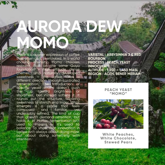 Indonesia, Aurora Dew "Momo" (150g)