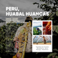 Peru, Huabal Huancas Natural (150g) - Mama Typica Specialty Coffee Roaster