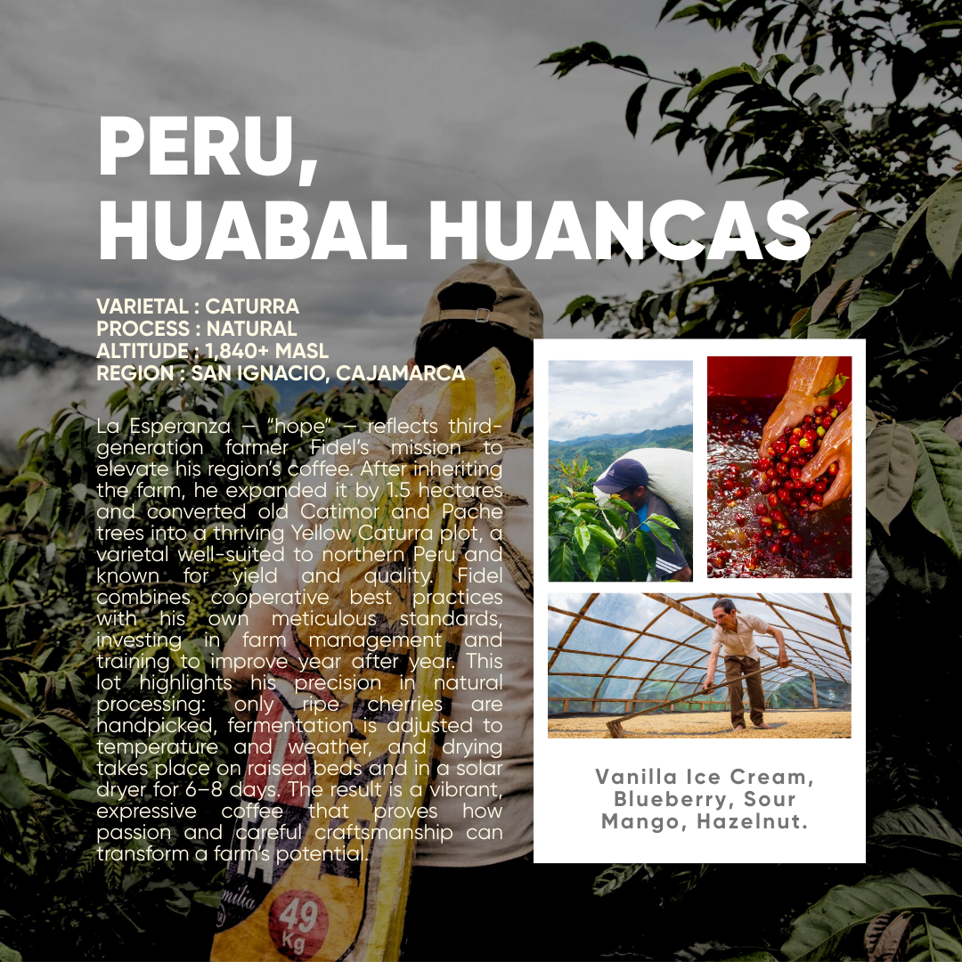 Peru, Huabal Huancas Natural - Mama Typica Specialty Coffee Roaster