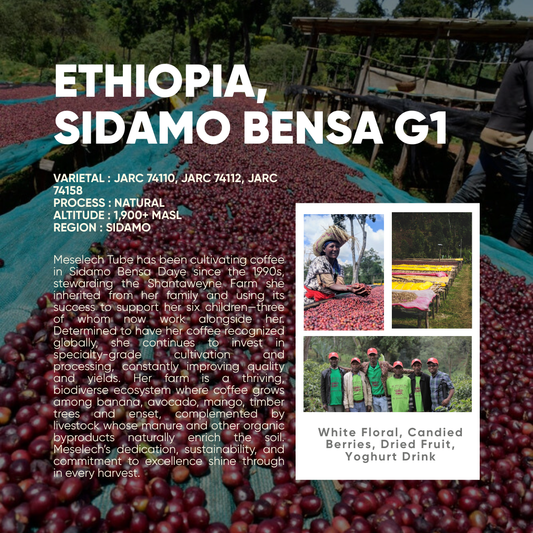 SOE - ETHIOPIA, SIDAMO BENSA G1