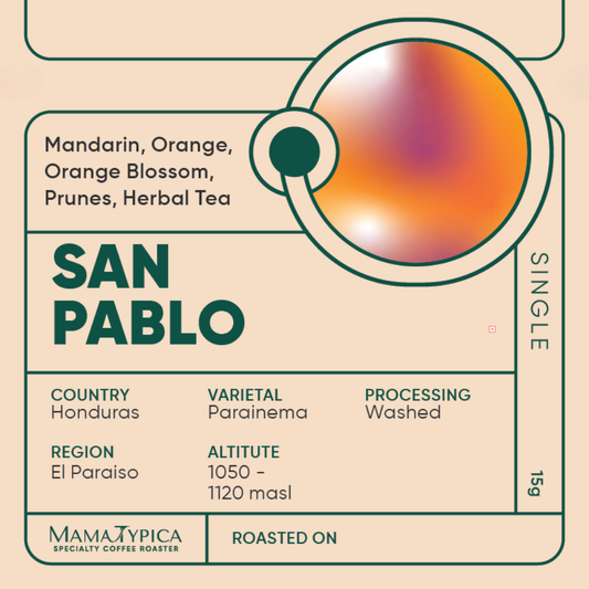Honduras, San Pablo Washed Single Serve Filter Bean (15g)