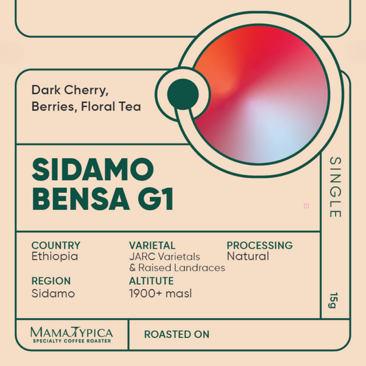Ethiopia, Sidamo Bensa G1 Single Serve Filter Bean (15g) - Mama Typica Specialty Coffee Roaster