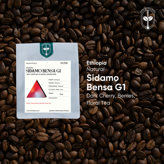 Ethiopia, Sidamo Bensa G1 Natural (150g) - Mama Typica Specialty Coffee Roaster