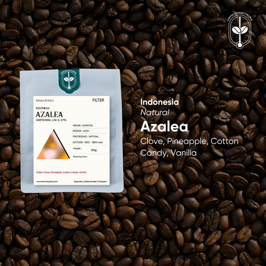 Indonesia, Azelea Natural (150g) - Mama Typica Specialty Coffee Roaster