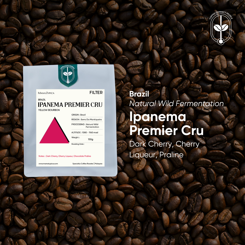 Mama Typica Brazil, Ipanema Premier Cru, Natural Wild Fermentation (150g) – specialty coffee beans Malaysia