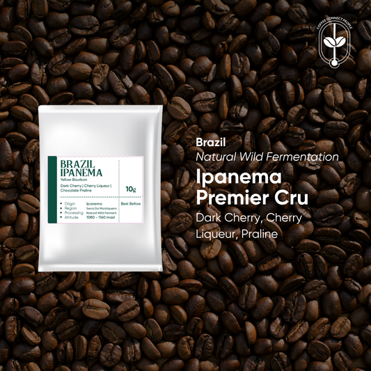 Brazil, Ipanema Premier Cru Drip Bag (1 pcs)