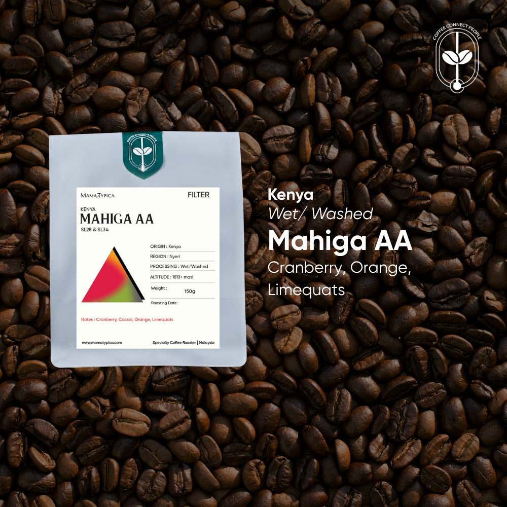 Mama Typica Kenya, Mahiga AA, Washed (150g) – specialty coffee beans Malaysia