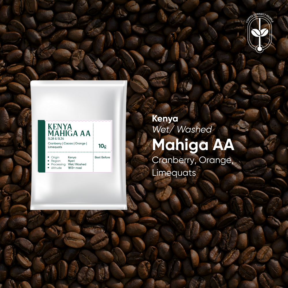 Kenya, Mahiga AA, Washed Drip Bag (1 pcs)