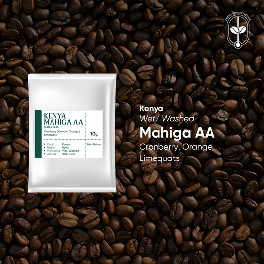 Kenya, Mahiga AA, Washed Drip Bag (1 pcs)