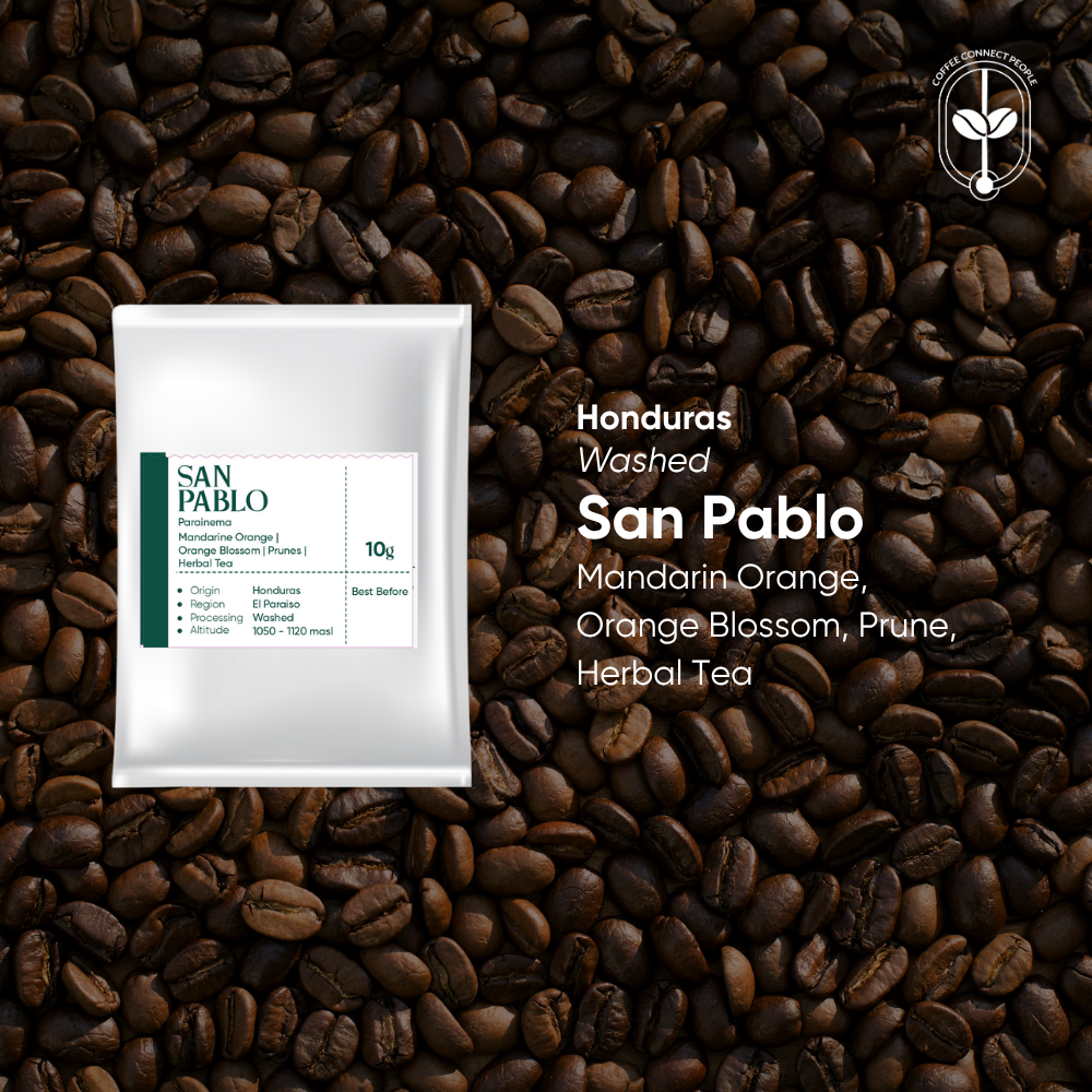 Honduras, San Pablo Washed Drip Bag (1 pcs)